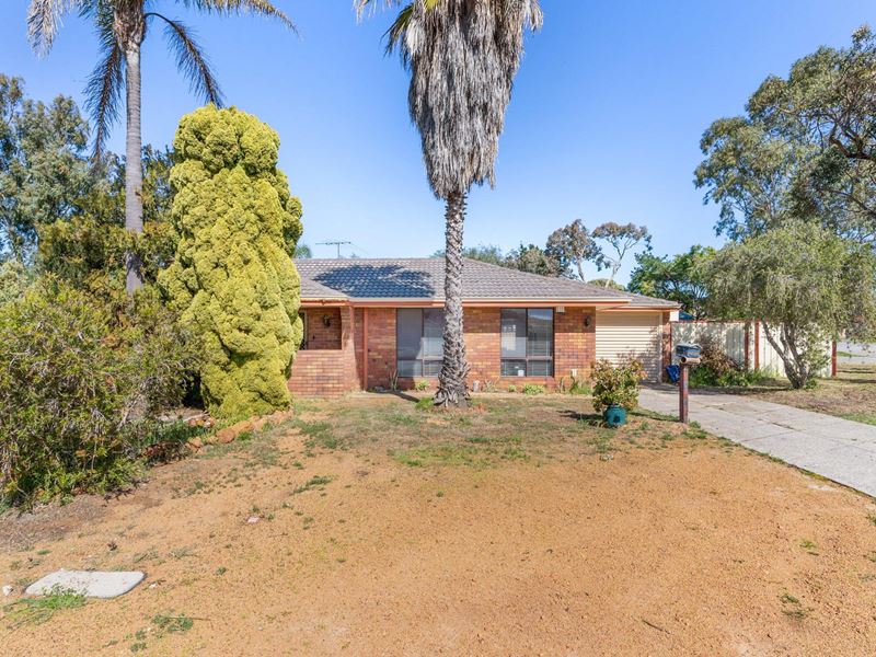 6 Killara Way, Craigie WA 6025