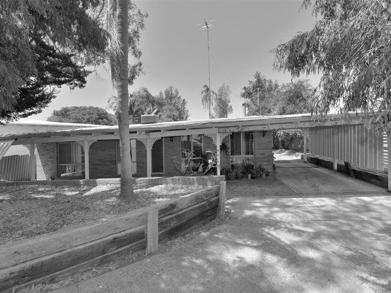 3 Lyelta Street, Falcon