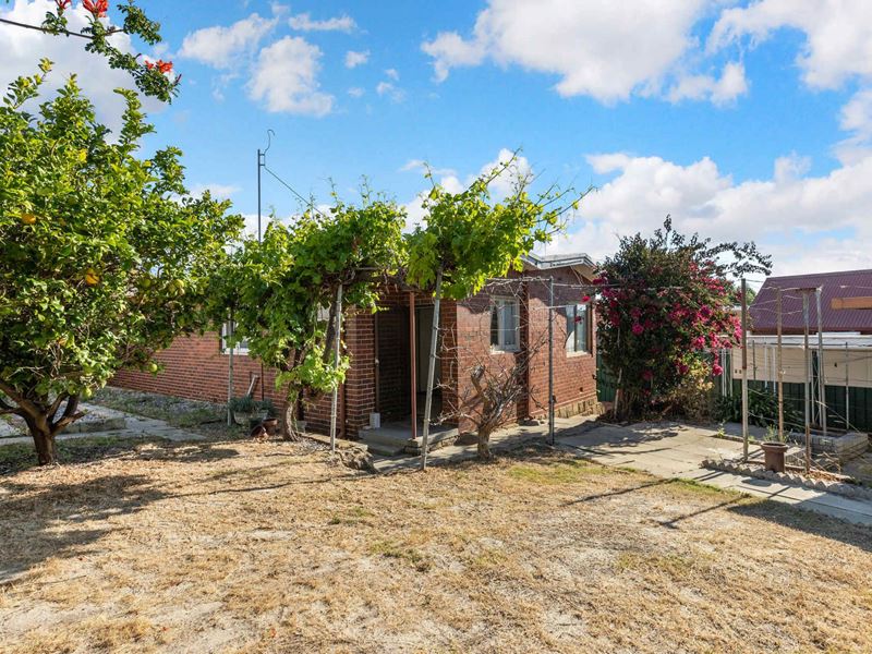12 Burridge Way, Hamilton Hill