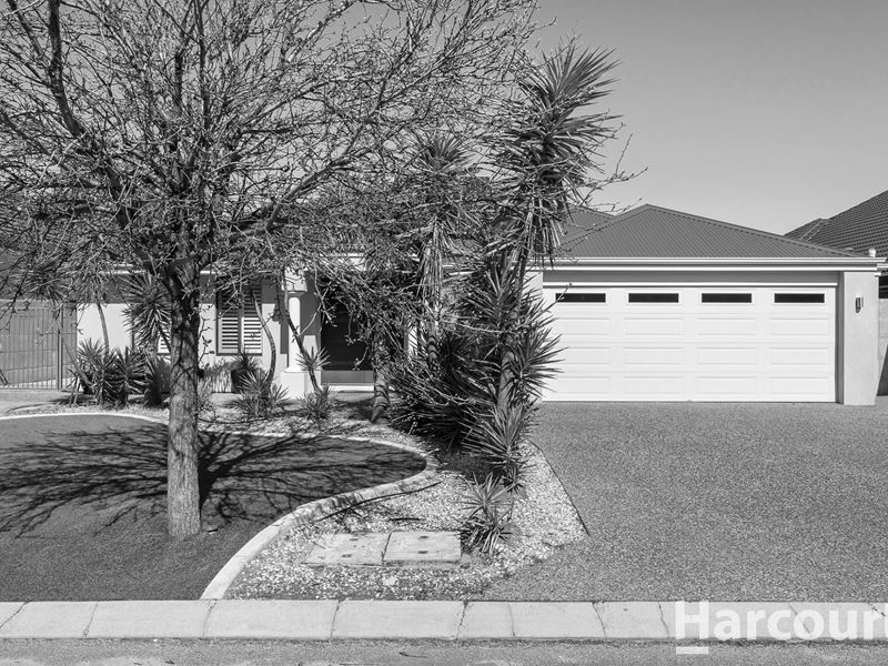 53 Waterlily Drive, Dudley Park