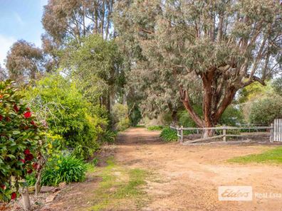 41 Ingoldby Street, Mount Barker WA 6324