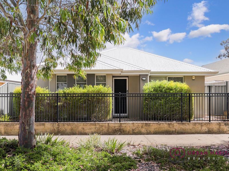 214 Lambeth Circle, Wellard WA 6170