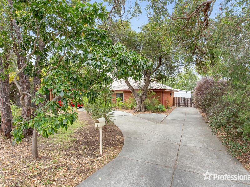 3 Chilcott Gardens, Gosnells WA 6110