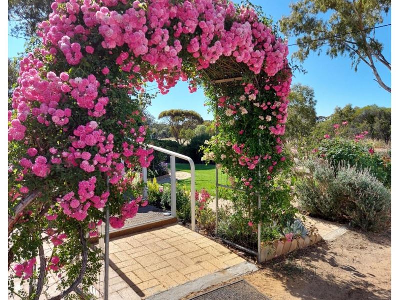 72 Bannister Street, Narrogin
