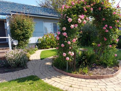 72 Bannister Street, Narrogin WA 6312