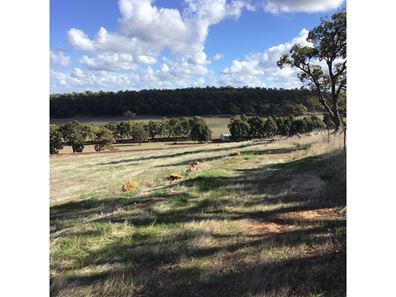 11 Shearing Rise, Wundowie WA 6560