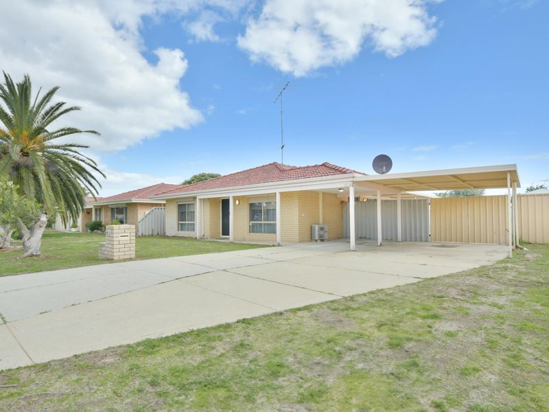 11 Serenoa Court, Warnbro