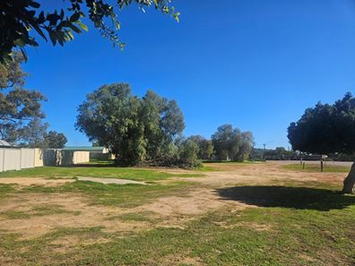 90  Midlands Road, Mingenew WA 6522