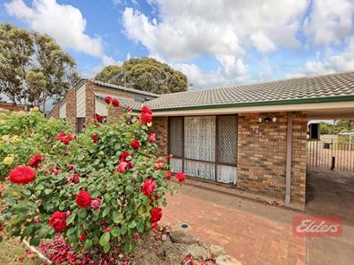 133 Narrakine Road, Narrogin WA 6312