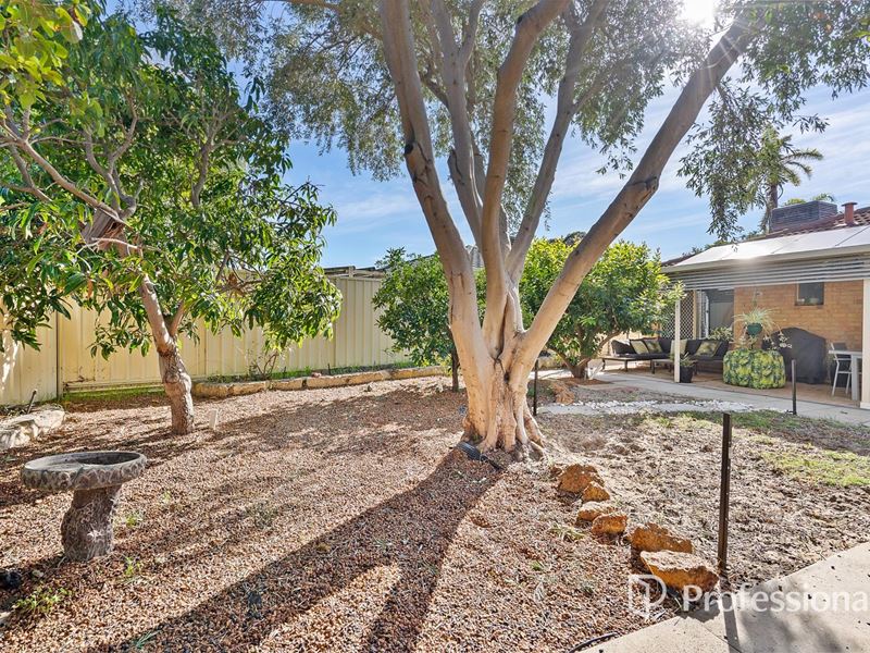 40 Waterlily Drive, Stratton WA 6056