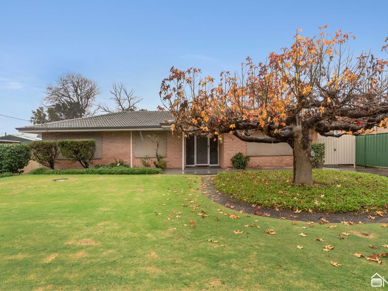 148 Streich Avenue, Kelmscott WA 6111