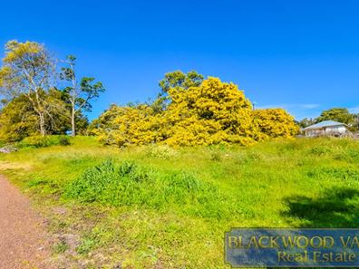 58 Telluride Street, Greenbushes WA 6254