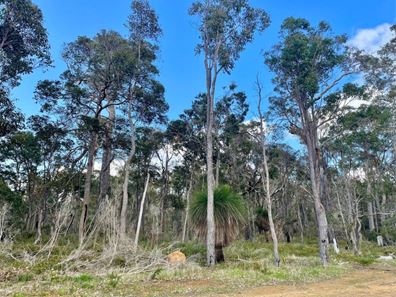 16 Truffle Circuit, Cowaramup WA 6284