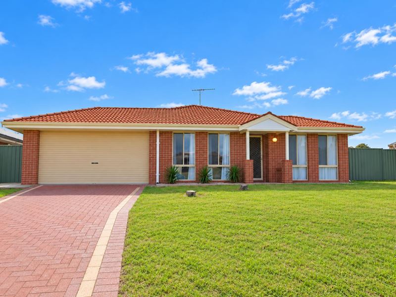 8 Darwin Place, Warnbro WA 6169