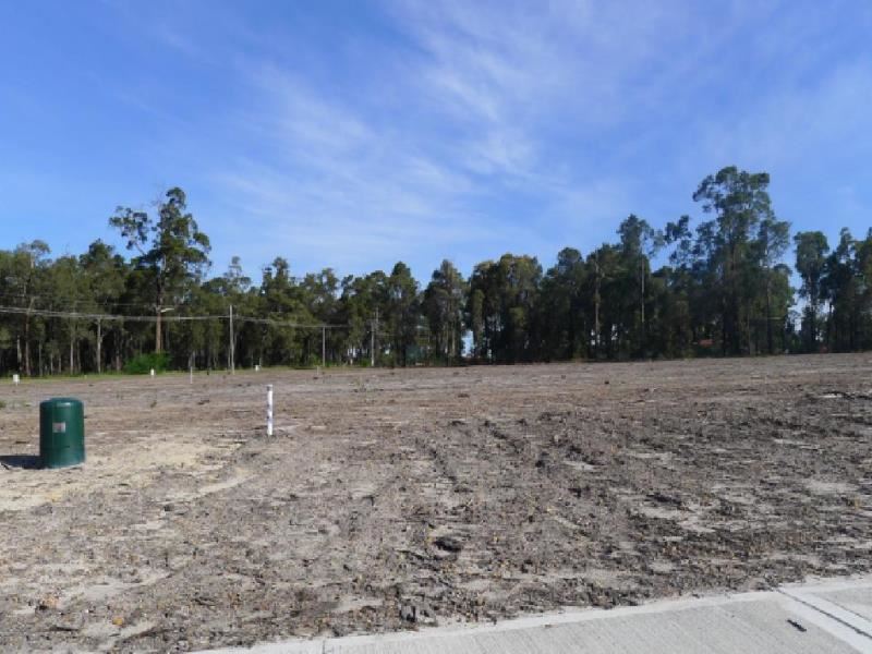 Lot 41 Buckingham Way, Collie