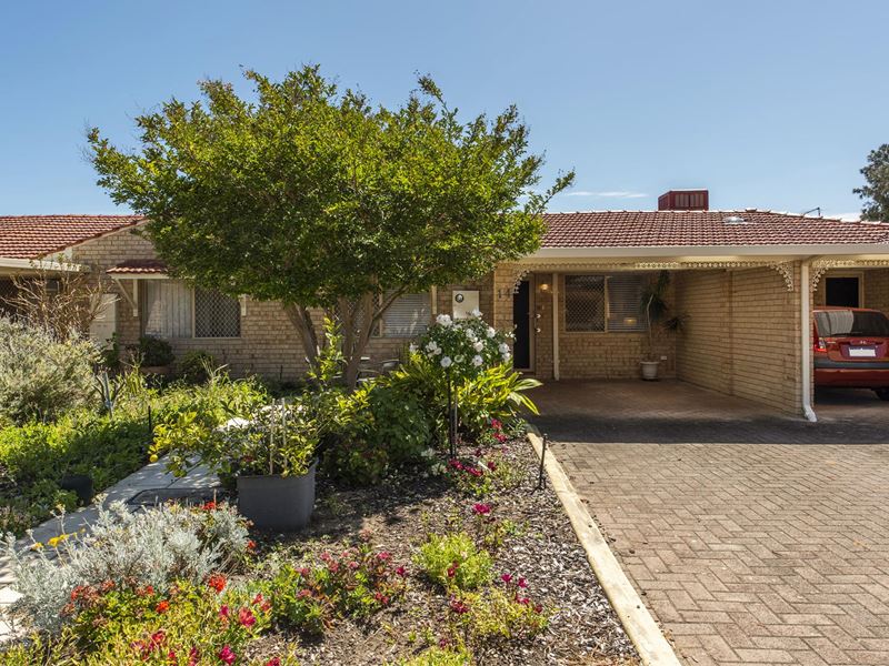 14/5 Ashford Avenue, Rockingham WA 6168