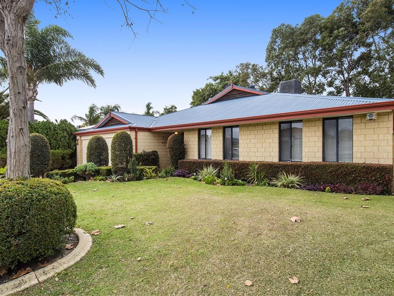 11 Leschenaultia Drive, Canning Vale