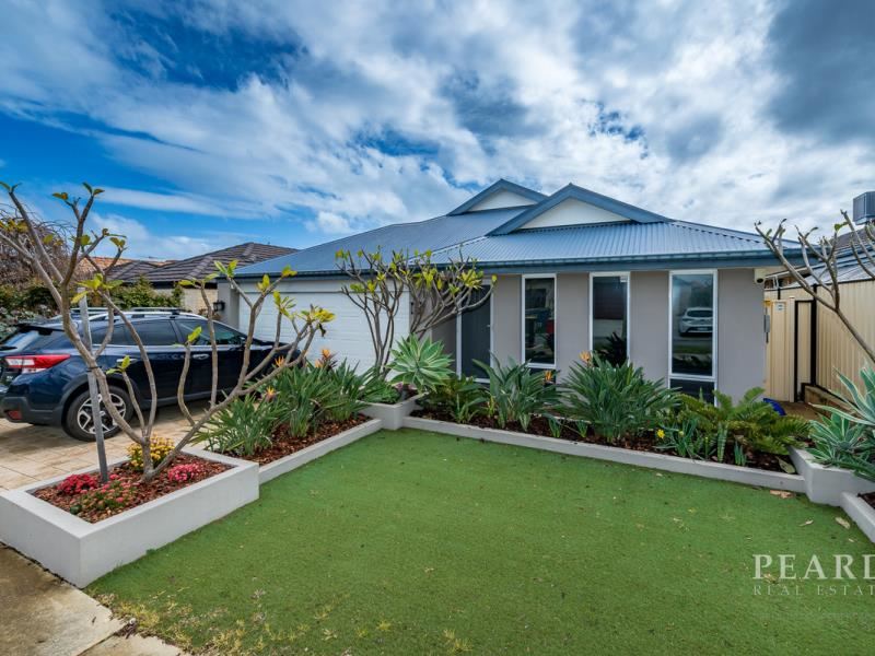 25 Grandoak Drive, Clarkson WA 6030