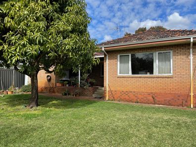 19 Daley Street, Yokine WA 6060