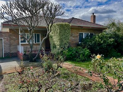 19 Daley Street, Yokine WA 6060
