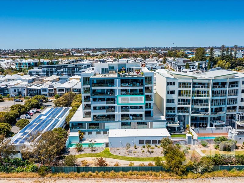 21/13 O'Connor Close, North Coogee