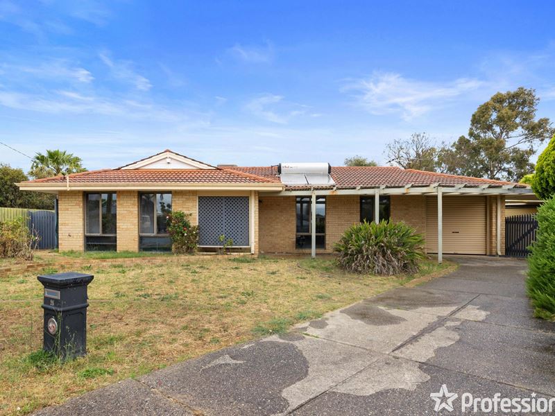 16 Lomatia Way, Forrestfield