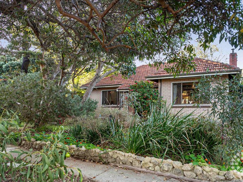 44 Chadwick Street, Hilton WA 6163