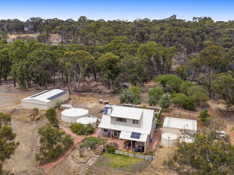 141 O'Connell Road, Wandering