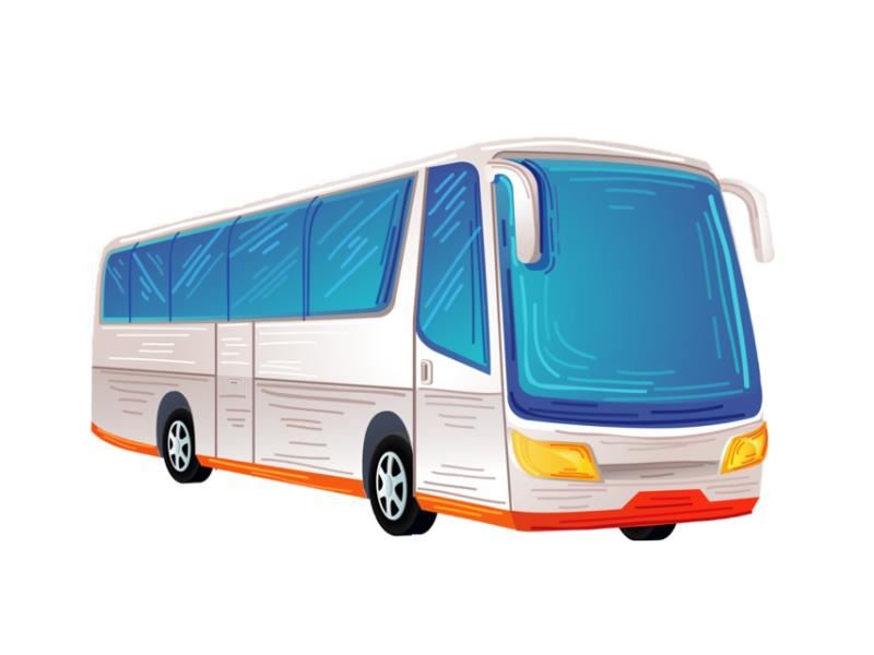Transport/Distribution - Southern Bus Charters