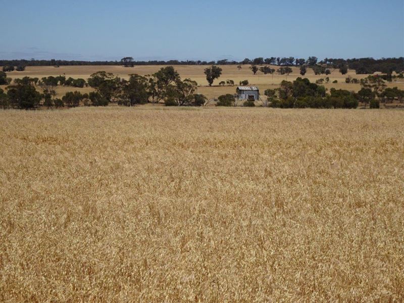 Bolts Road, Wagin WA 6315