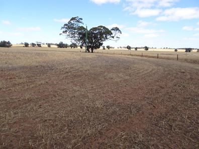 Bolts Road, Wagin WA 6315