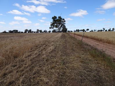 Bolts Road, Wagin WA 6315