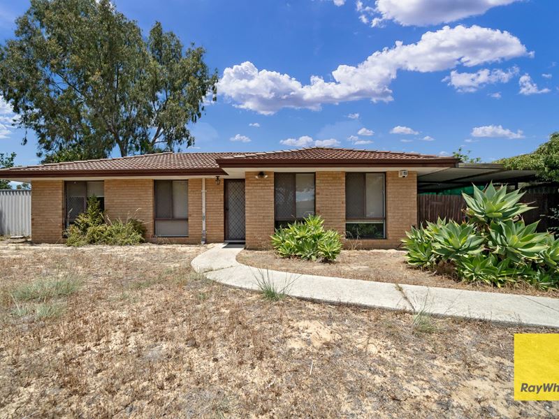 1 Chestnut Grove, Mirrabooka WA 6061