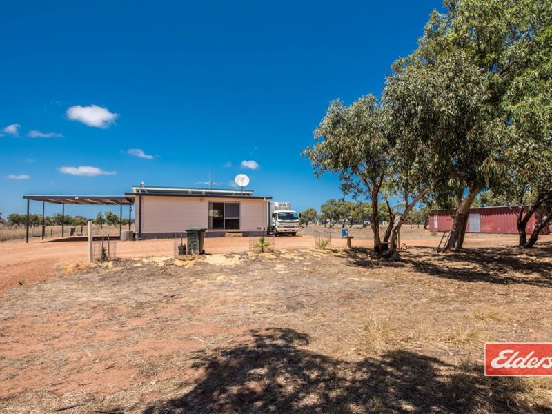 19 & 21 Evans  Road, Walkaway WA 6528