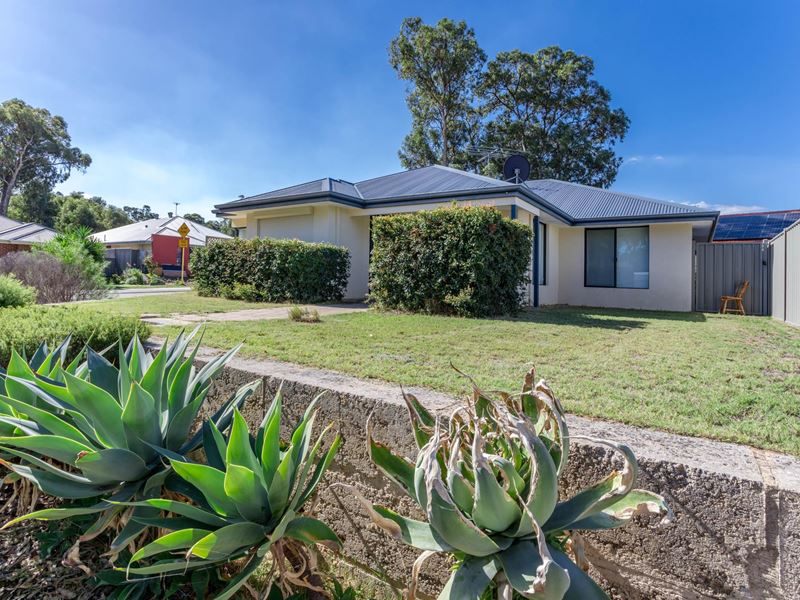 15 Ringwood Loop, Wellard WA 6170