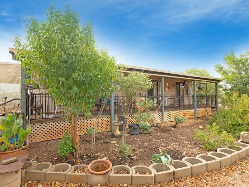 41 Gwalla Street, Northampton WA 6535