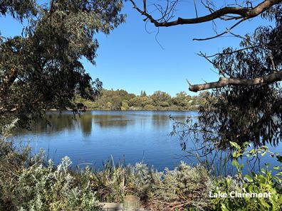 17A Lapsley Road, Claremont WA 6010