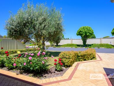 19 Dawson  Place, Donnybrook WA 6239