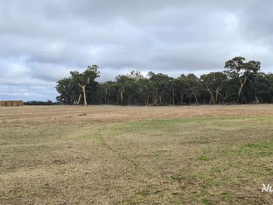 Lot 347 Yarralena Road, Cranbrook WA 6321