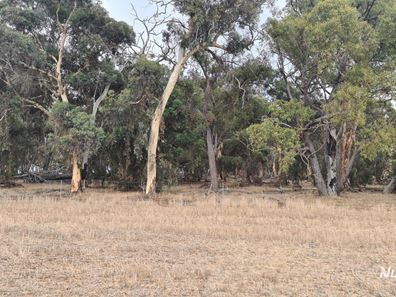 Lot 347 Yarralena Road, Cranbrook WA 6321