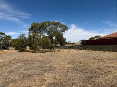 14 Fogarty Street, Mingenew WA 6522