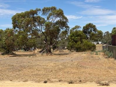 14 Fogarty Street, Mingenew WA 6522