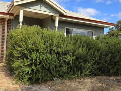 62A Moir Road, Ravensthorpe WA 6346