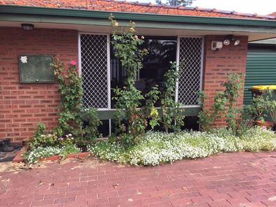 13 Hollingsworth Avenue, Koondoola WA 6064
