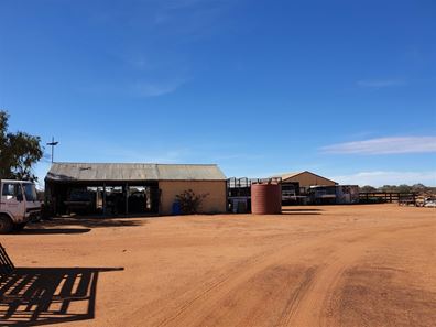Koonmarra Station, Meekatharra WA 6642