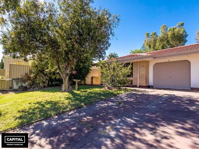 23 Halley St, Innaloo WA 6018