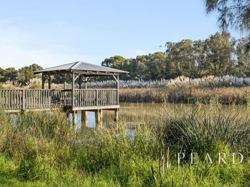 53 Careniup Avenue, Gwelup WA 6018