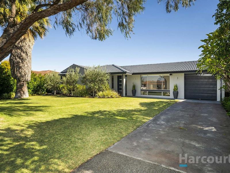 41 Macleay Drive, Padbury