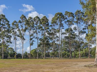 17 Tallwood Loop, Witchcliffe WA 6286