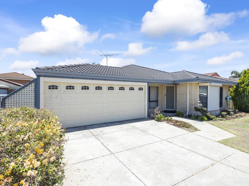 17 TRUSCOTT ELBOW, Alexander Heights